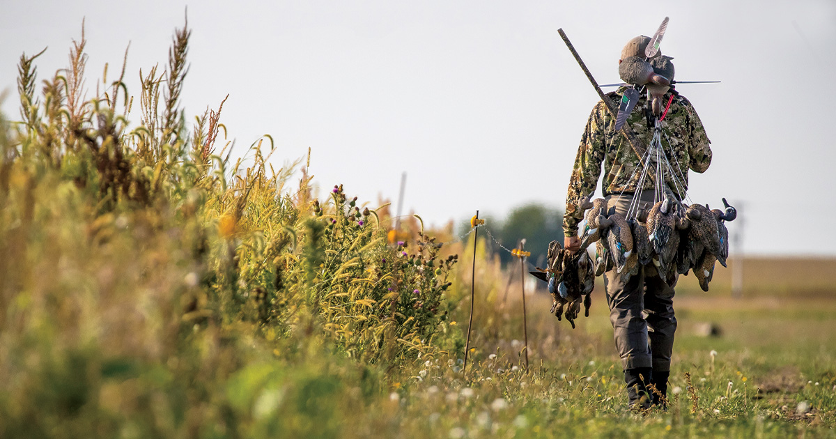 Teal hunter deals